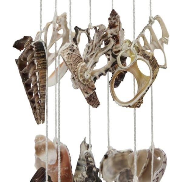 2 Seashells and Urchins Spines Wind Chimes 18" (Set of 2) - Image 2