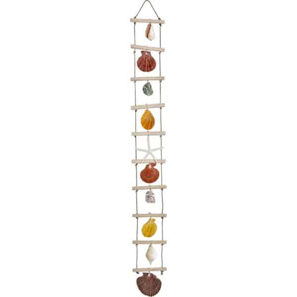 Seashell Ladder Strand 4x31"