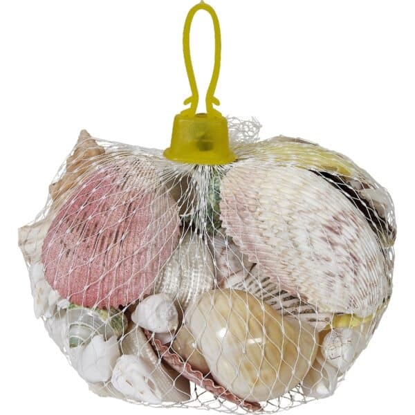 2 Assorted Polished Shells in White Plastic Net Bags (Set of 2) - Image 2