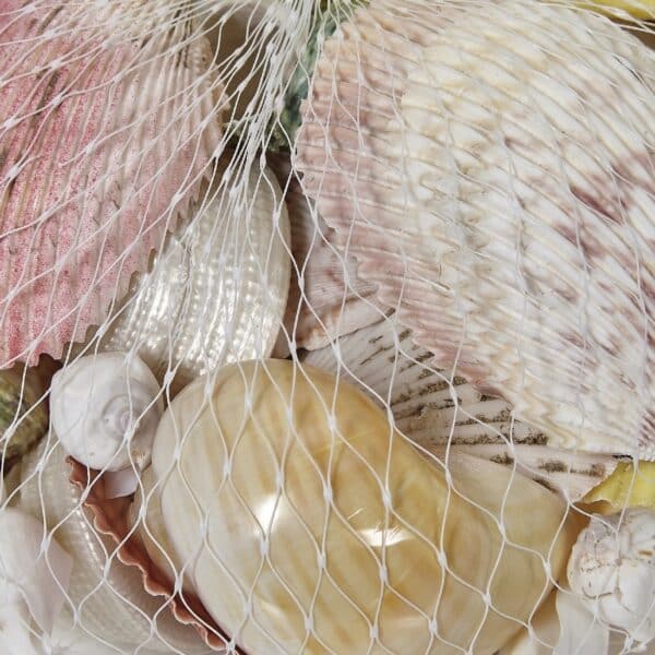 2 Assorted Polished Shells in White Plastic Net Bags (Set of 2) - Image 3