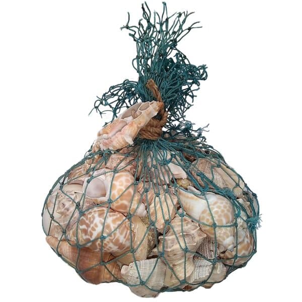 Shells in Blue Decorative Trawler Net Bag 1 Kilo - Image 2