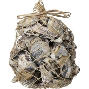 Oysters in 6x10" Abaca Net
