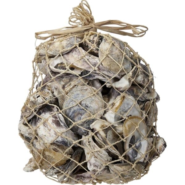 Oysters in 6x10" Abaca Net