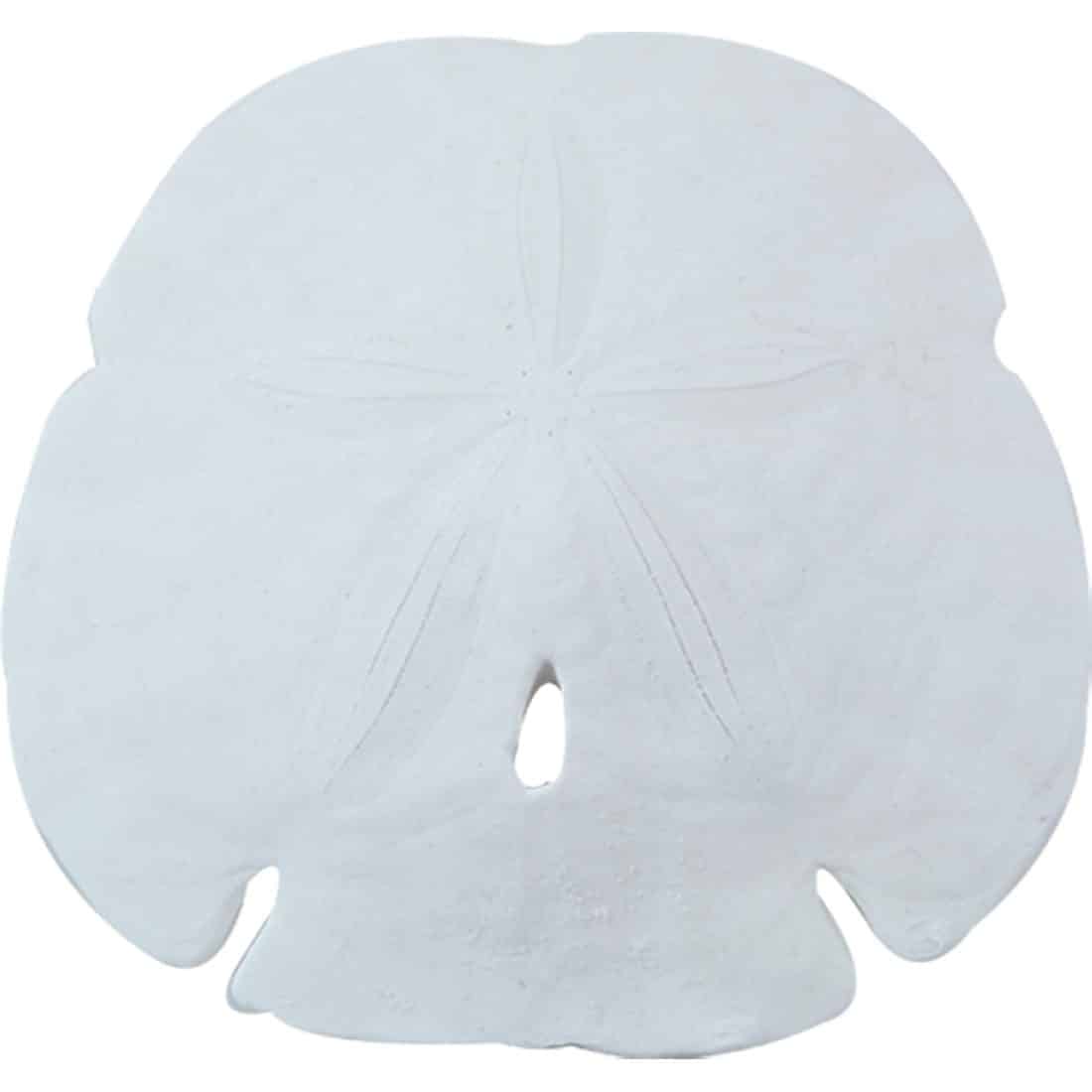4 Arrowhead Sand Dollars 4.5-5" (Set of 4)