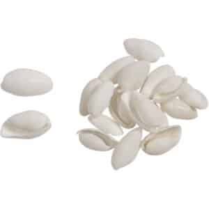 White Bubble Craft Shells Bag 1" Gallon (appx. 850 pc)