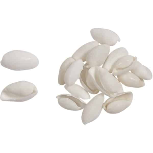 White Bubble Craft Shells Bag 1" Gallon (appx. 850 pc)