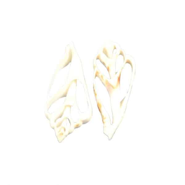 36 White Chula Center Cut Craft Shells 1.5-2" (Set of 36)