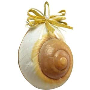 2 Mountain Land Snail Christmas Holidays Ornaments 3" (Set of 2)