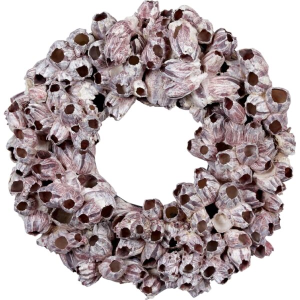 Barnacle Wreath 15"