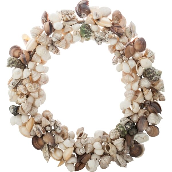 Small Assorted Seashell Wreath 11"