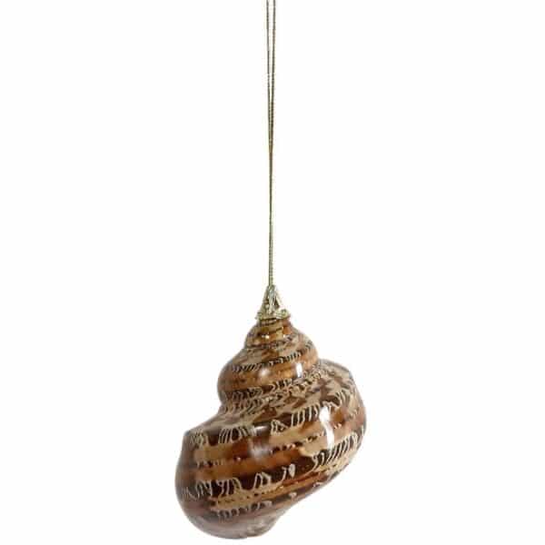 6 Turbo Petholatus with Brass Cap Ornaments 2-2.5" (Set of 6)