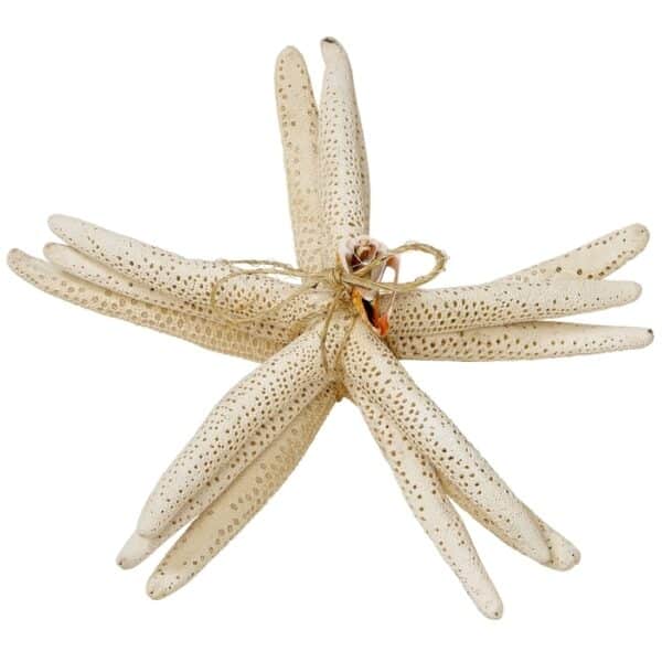 Three Finger Starfish Bundle with Cut Shell White 8-10" (Set of 3)
