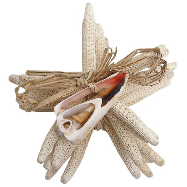 Finger Starfish Bundle with Cut Shell 8 pc White 2-4"
