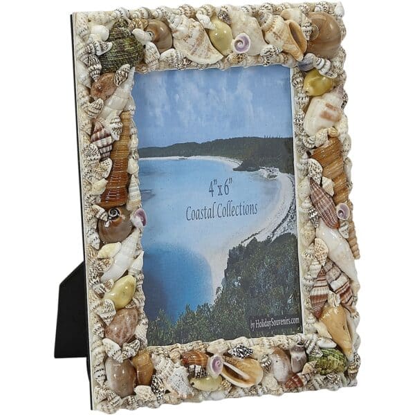 Natural Shells Photo Frame with Plexiglass 4x6"