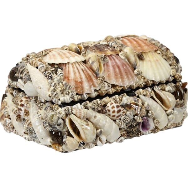 Natural Seashell Treasure Box 6x4x3"