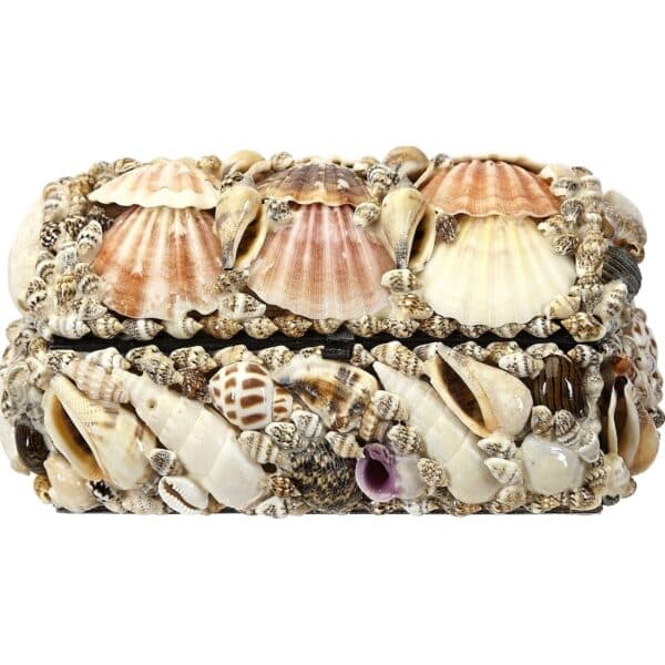 Natural Seashell Treasure Box 6x4x3" - Image 2
