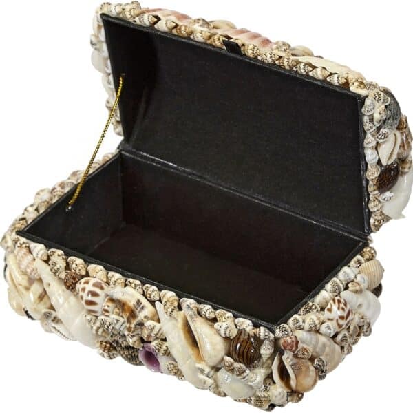 Natural Seashell Treasure Box 6x4x3" - Image 3