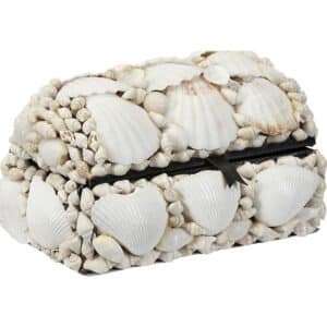 White Seashell Treasure Box 6x4x3"
