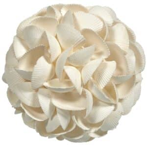 Ark Shell Orb 6"