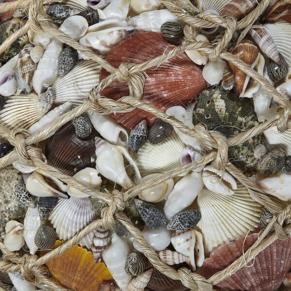 Shell Ball in Abaca Net 10" - Image 3