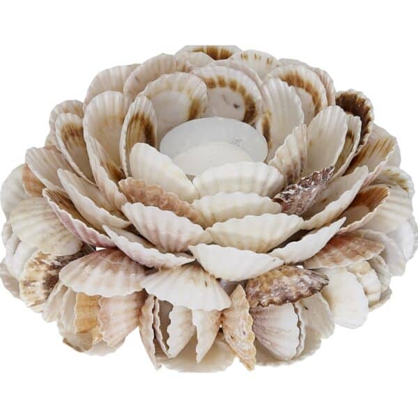 Pecten Shell Candle Holder 8x4"