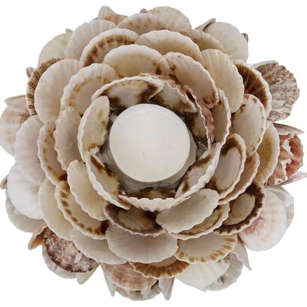 Pecten Shell Candle Holder 8x4" - Image 2