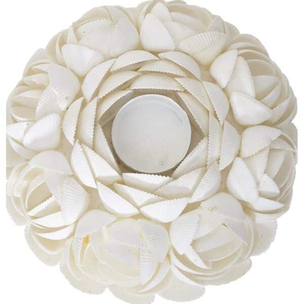 White Ark Shell Candle Holder 8x4" - Image 2