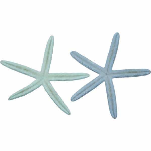 6 Dyed Natural Finger Starfish 6-8" Pastel (Set of 6) - Image 2