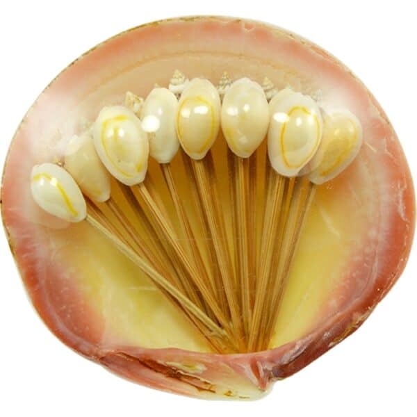 4 Clam Shells with Cocktail Toothpicks (24 pcs per clam)