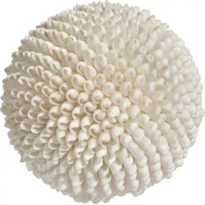 White Bubble Decorative Shell Ball 6"